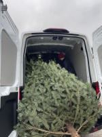 Christbaumsammelaktion 2025